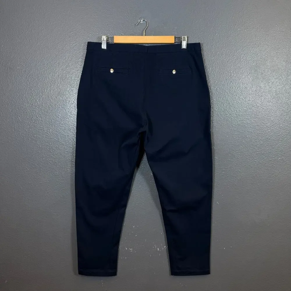 The North Face PURPLE LABEL 36 men’s blue chino pants outdoor NEW